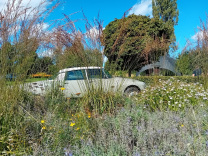 Citroen DS Brasserie Eupen Herbst Spätsommer oldtimer 