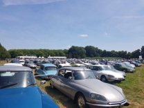 100 Jahre Citroen Schraubervitrine DS Wiese Oldtimer 