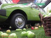 Citroen GS grün utrecht 2010