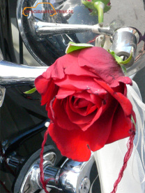 Hochzeitsauto Citroen 11CV Spiegel
